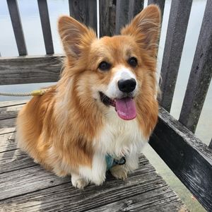 Trade for @samsteve143